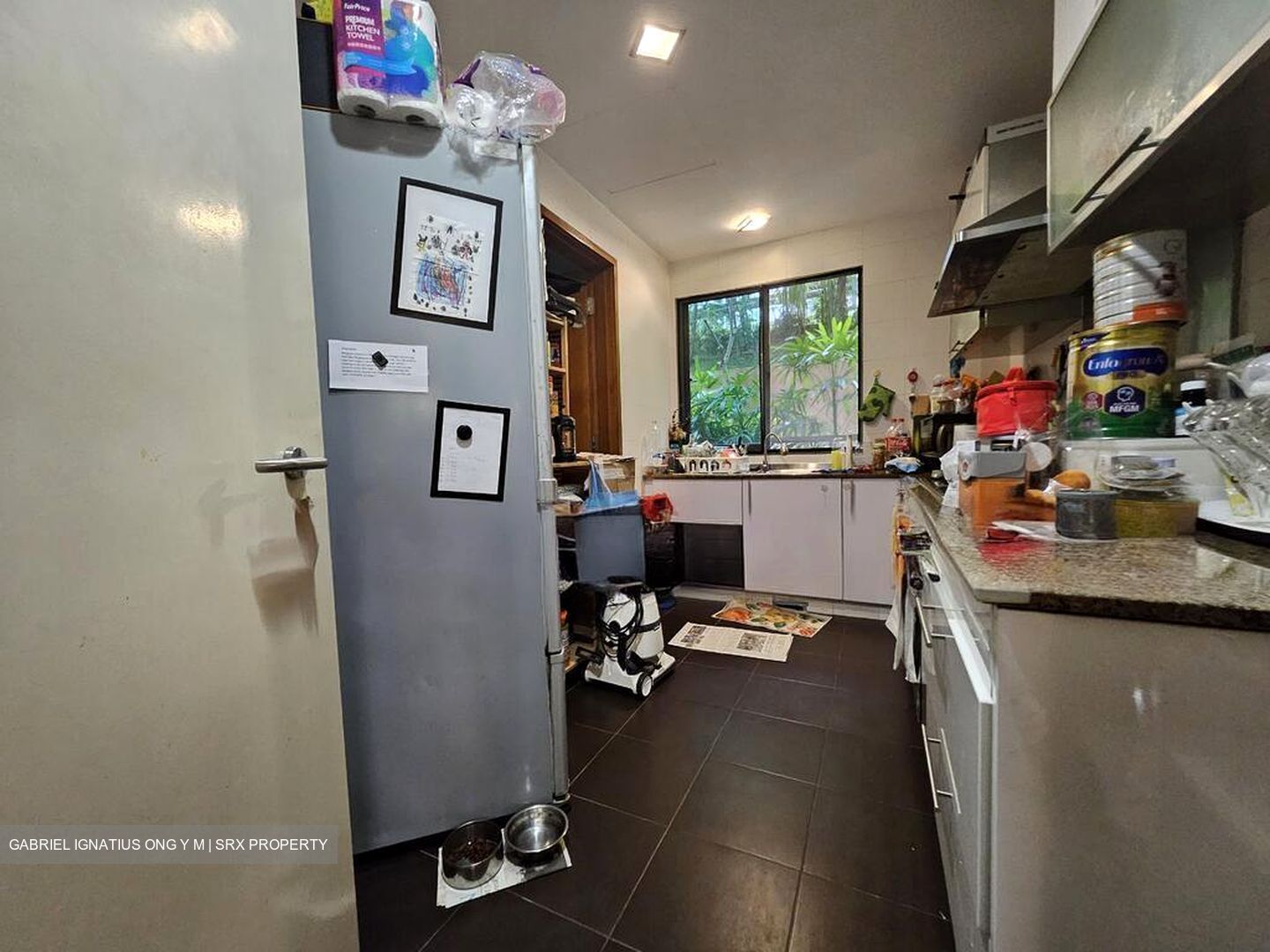 Adam Park Condominium (D11), Condominium #520551011